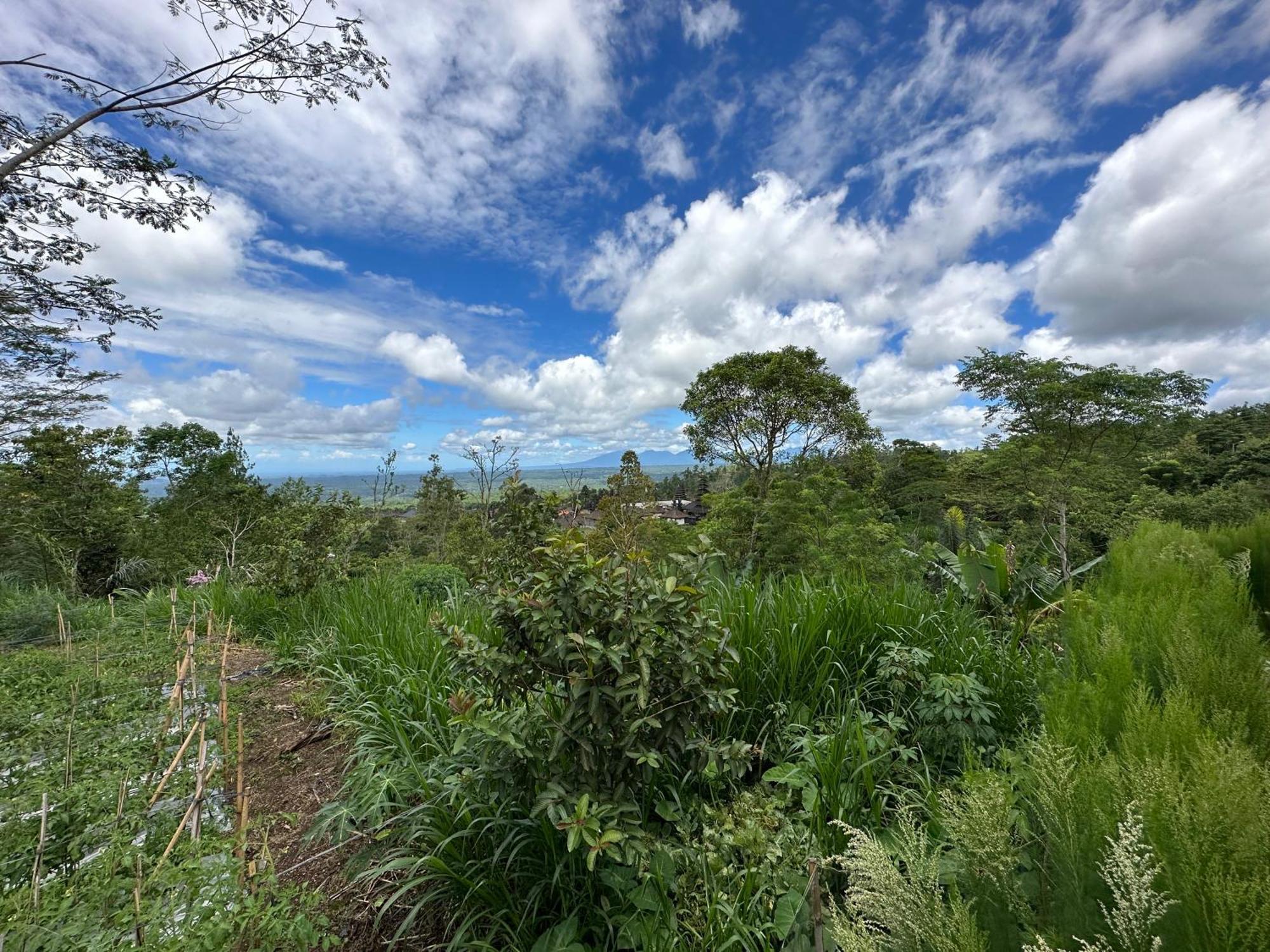 BesakihBali Basuki Retreat Center公寓 外观 照片