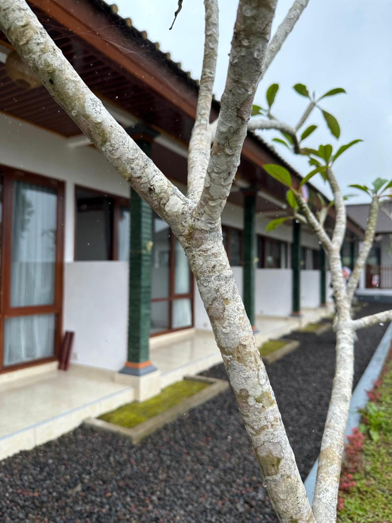 BesakihBali Basuki Retreat Center公寓 外观 照片
